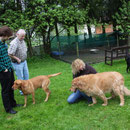 unser alte Lady Jule fand den "Herrenbesuch" klasse :-)