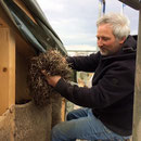 Holzständerwerk mit Seegrasdämmung