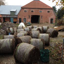 Rundballen à 200 kg Seegras
