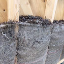 Holzständerwerk mit Seegrasdämmung