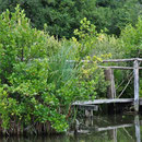 Passerelle La Grenouillère Frise Camping pêche Somme