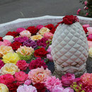 Rosenbrunnen