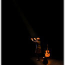 KARINE POLWART TRIO, November 2014, Foto von Rolf Rutzen