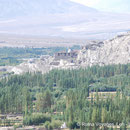 11. Shey Palace