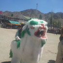 Auspicious Snow Lion Dance