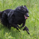 Ari mit 3 Jahren