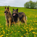 Caleb und Anup