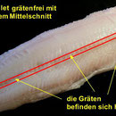 Fisch richtig filetieren