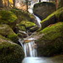 "Wildbach" von Franz Reinbacher  1.) EW.