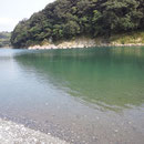 取水口のすぐ下流、深いところに潜りました