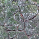 Blick auf die Köpfe von Basaltsäulen (Foto: E. Klein)