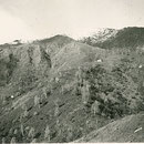 Vantaron