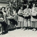 Nosetti, Carla, Federica Madonna, Pia Storelli, Didi Storelli, Milvia Branca, Luigina Clemente