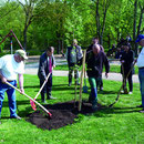 Gemeinsam mit Bürgermeister Peter Dolderer, Bad Friedrichshall, wurde am 14.04.2011 eine Elsbeere, Baum des Jahres 2011, am Schachtsee gepflanzt.