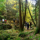 Waldnaabtal
