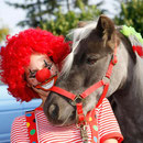 Simone und Griseldis