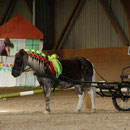 Simone und Mirko mit Pony Griseldis