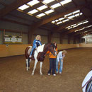 Ponyreiten