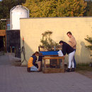 Streichelzoo