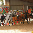 Quadrille