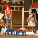 Martina und Simone mit Pony Griseldis und Hund Vico