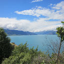 Seeblick zwischen Queenstown und Franz Josef I