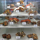 Ausstellung praemierter Kuchen auf der Easter Show