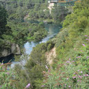 Die Waikato River-Schlucht
