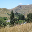 Landschaft zwischen Christchurch und Hanmer Springs