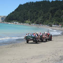 Auf der Gannet Beach Adventure-Fahrt