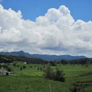 Landschaftsblick zwischen Auckland und Cape Reinga I