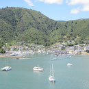 Blick auf Picton von der Faehre aus