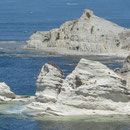 Bucht bei Kaikoura II