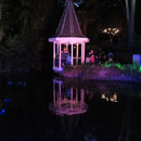 Teich im Botanischen Garten bei Nacht