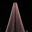 Lichterketten-Weihnachtsbaum im Dunkeln