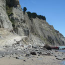 Steilkueste am Cape Kidnappers I
