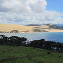 Blick auf's Meer zwischen Paihia und Hamilton I
