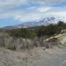 Landschaftsbild in den Tongariro-Nationalpark auf der Rueckfahrt nach Wellington