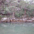 See im Ku-ring-gai Nationalpark noerdlich von Sydney