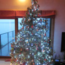 Der Weihnachtsbaum von Sabine's Gastfamilie