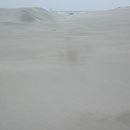 Duene von Cape Farewell Spit
