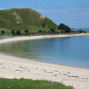Strandblick zwischen Thames und Auckland