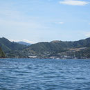 Blick in die Bucht von Picton, vom Kayak aus