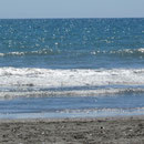 Strandfoto am Strand von Otaki (Otaki Beach/Westkueste)