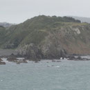 Marlborough Sounds I