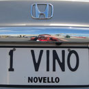 Nummernschild IX