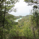 Meerblick im Abel Tasman
