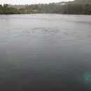 Die Pupu Springs II