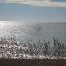 Blick auf's Meer zwischen Napier und Gisborne
