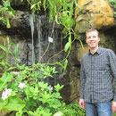 Kleiner Wasserfall im Tropenhaus des Royal Botanic Gardens in Sydney